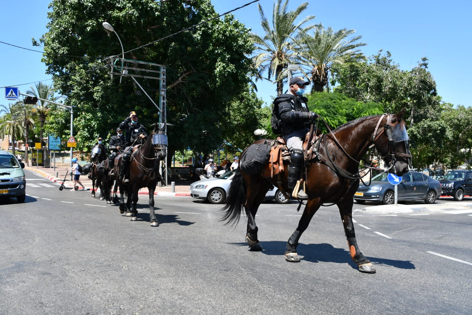 WhatsApp Image 2020-07-17 at 4.59.28 PM.jpeg.jpeg